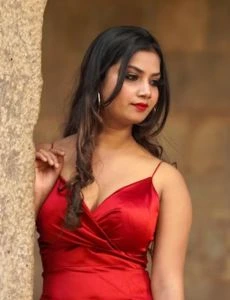 call girl service in Pansemal